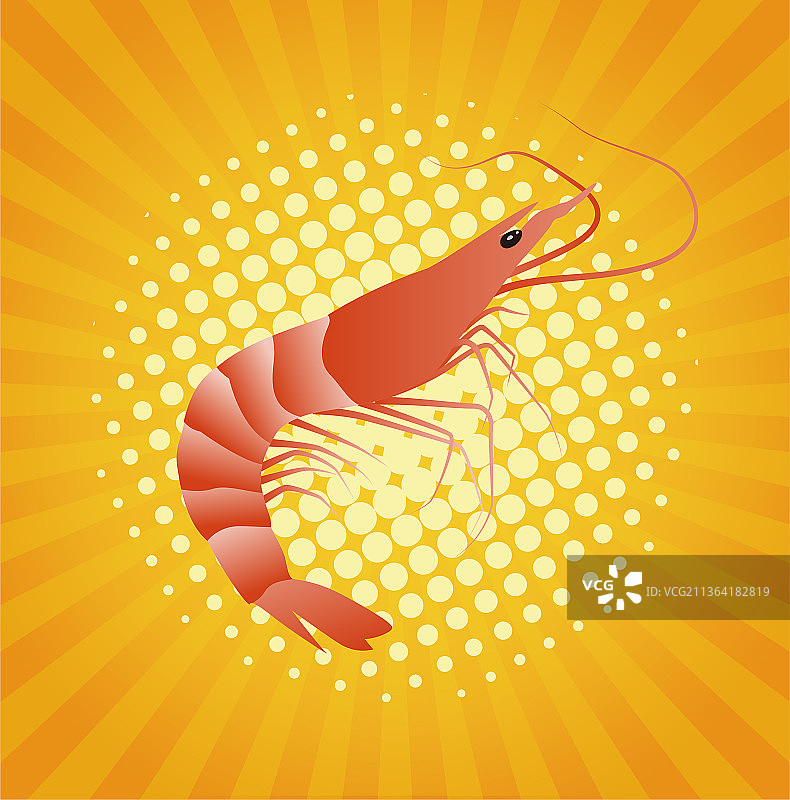 虾矢量插画图片素材
