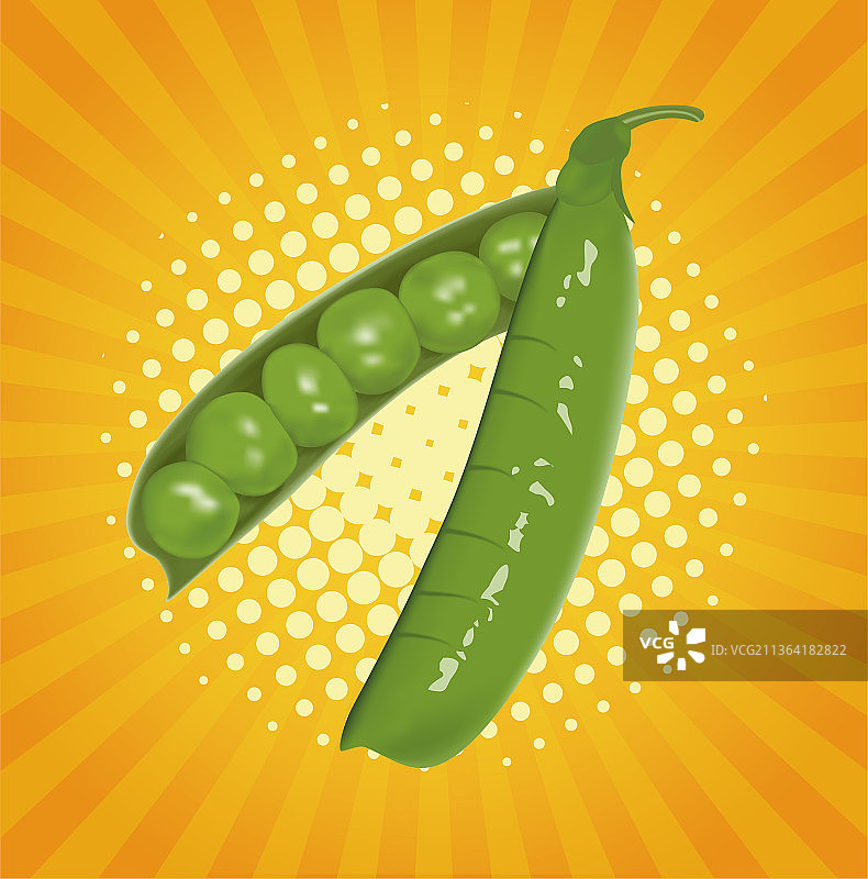 荷兰豆矢量插画图片素材