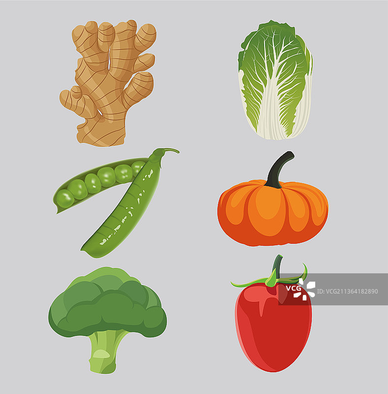 蔬菜组合矢量插画图片素材