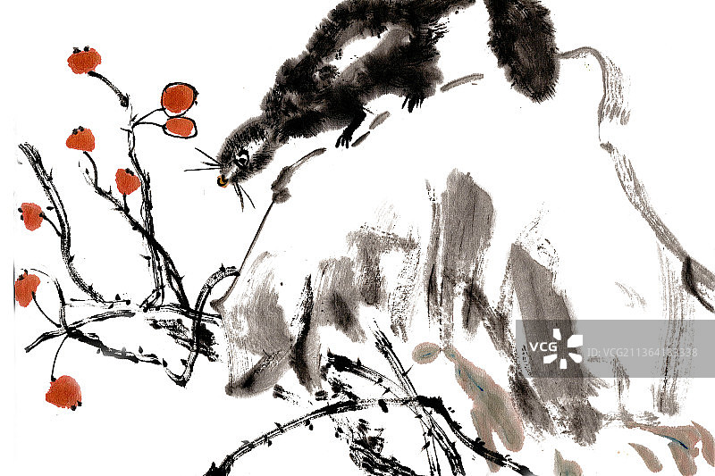 石头上的松鼠图片素材