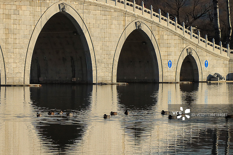 冬季玉渊潭之中堤桥与鸳鸯图片素材