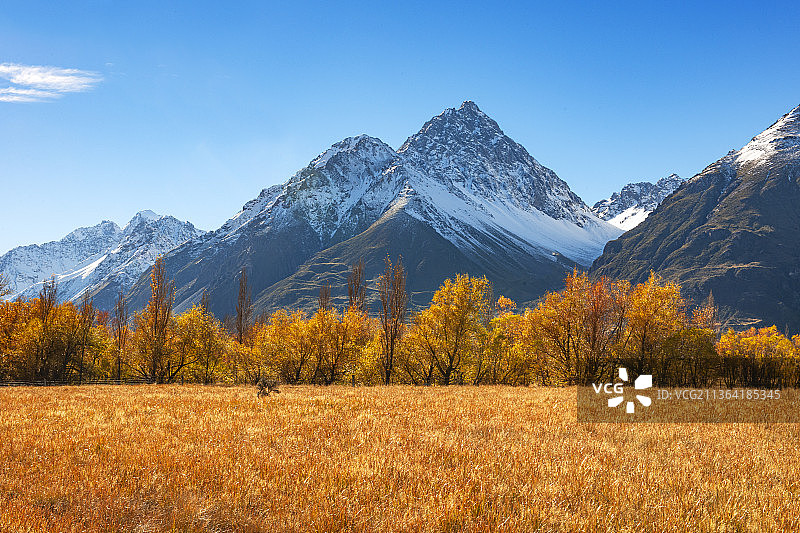 新西兰，南岛，库克山风景。图片素材