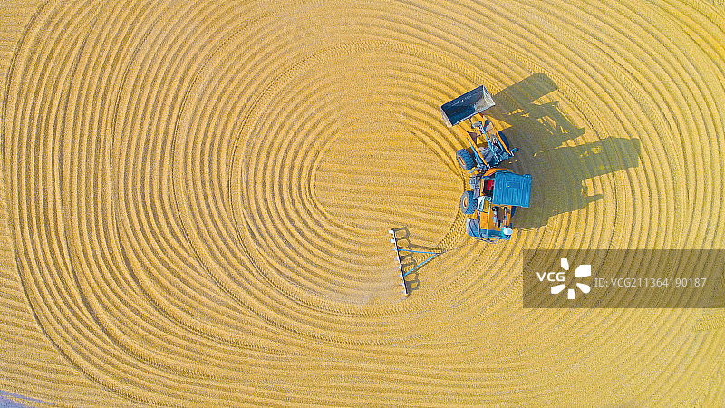 天气好 晒粮忙图片素材