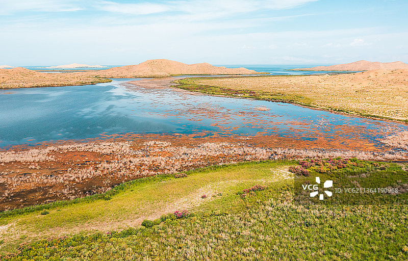 新疆巴音郭楞蒙古自治州博湖县博斯腾湖国家湿地公园自然风光图片素材