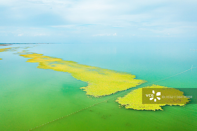 新疆巴音郭楞蒙古自治州博湖县博斯腾湖国家湿地公园自然风光图片素材