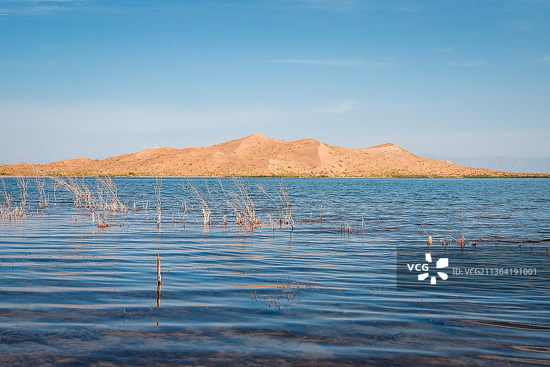 新疆巴音郭楞蒙古自治州博湖县博斯腾湖国家湿地公园自然风光图片素材