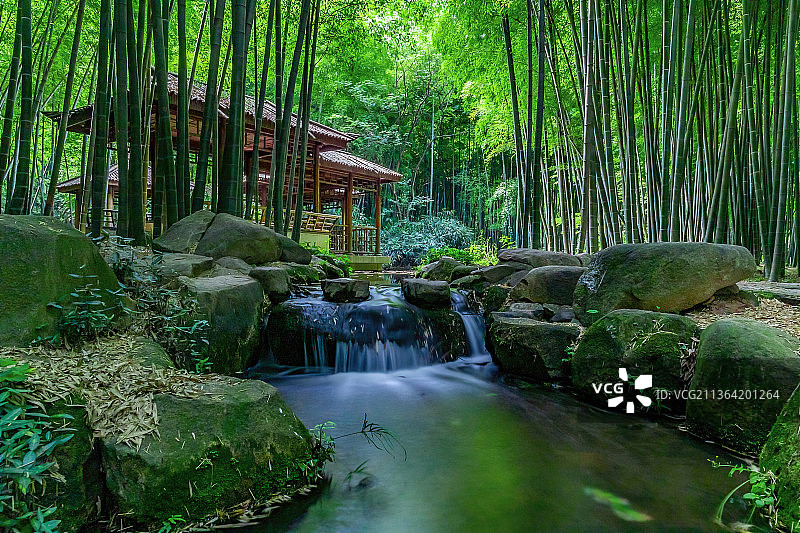 苏州虎丘风景区 竹林图片素材