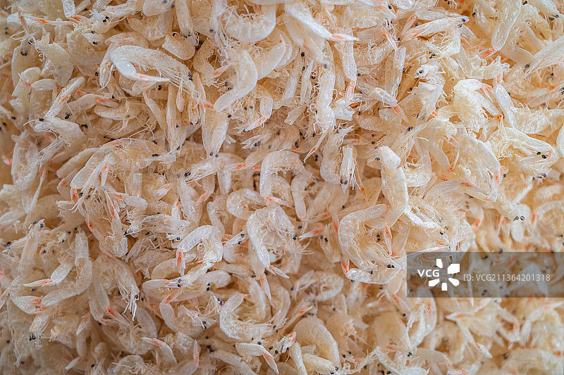 干货—虾干图片素材