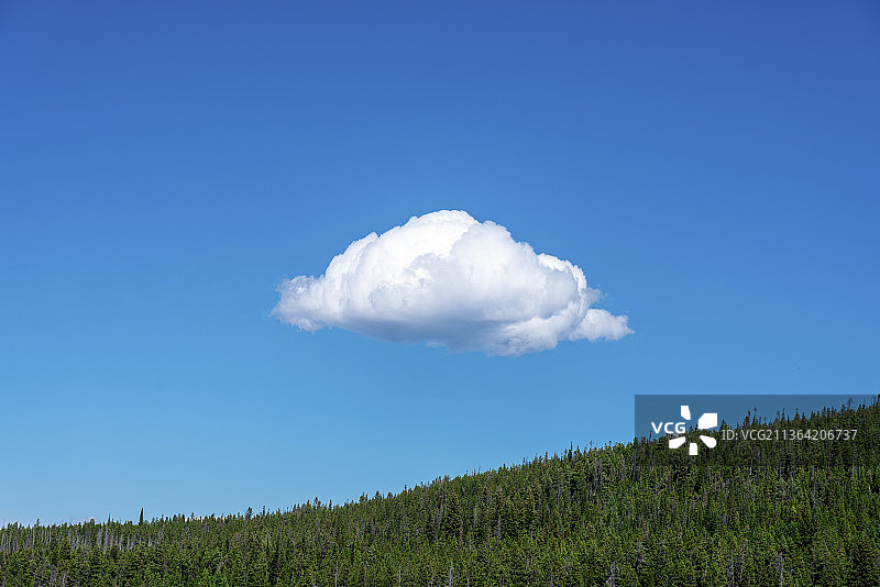 森林上空漂浮的一朵云，淡积云图片素材