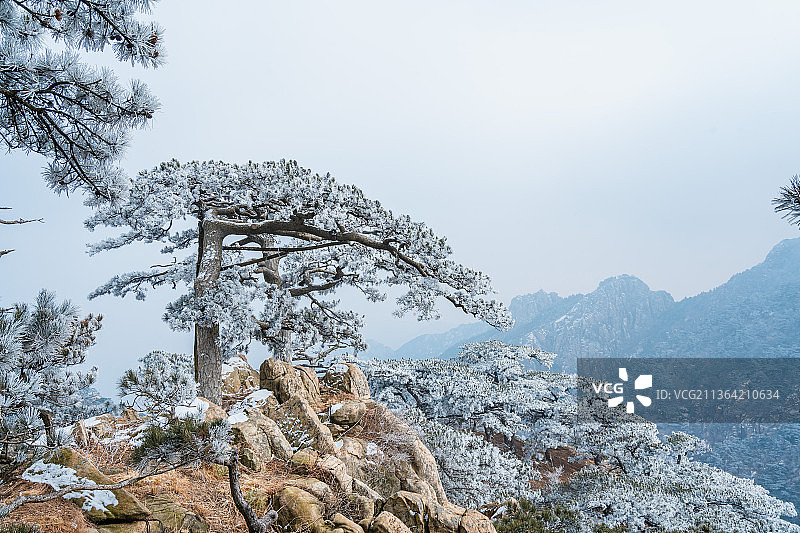 泰山雾淞图片素材