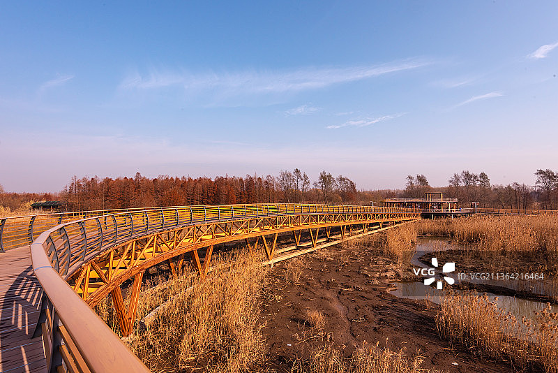 崇明西沙湿地图片素材