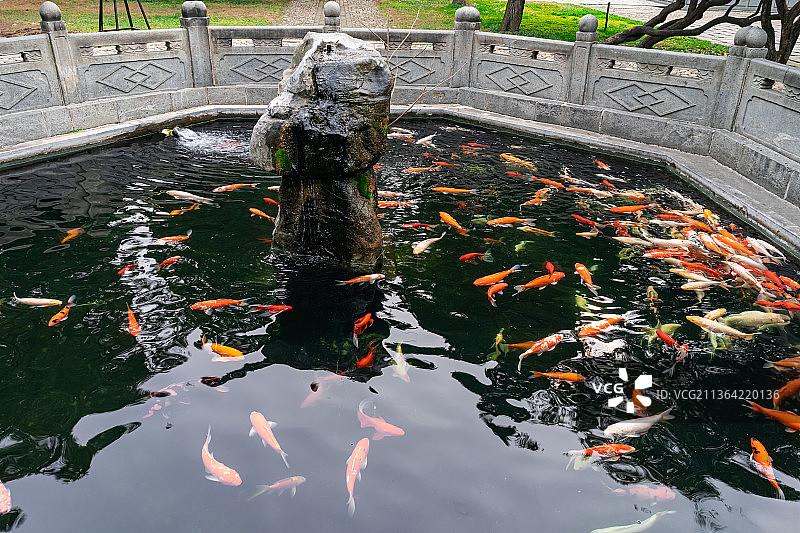 亚洲中国山东泰安泰山景区著名景点，岱庙行宫里的鱼塘图片素材