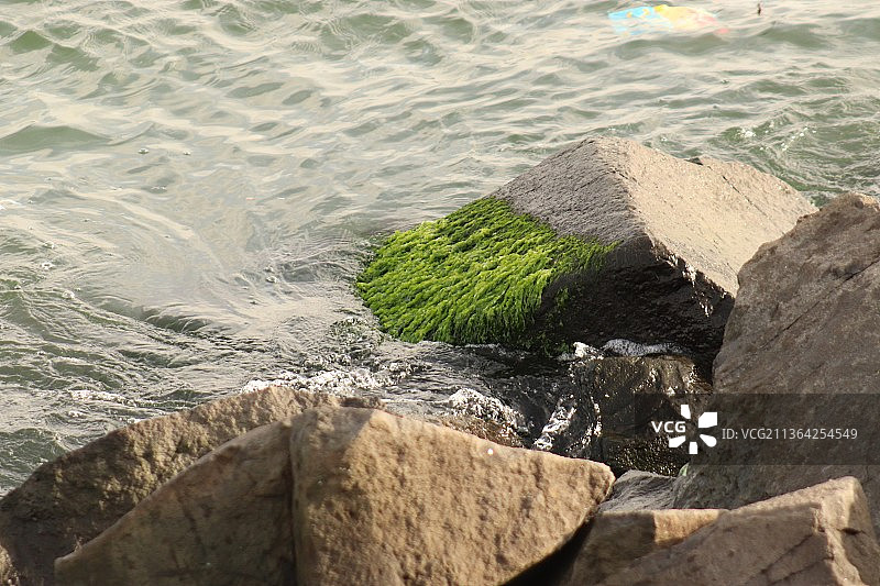 海中的岩石，海滩岩石的高角度视图图片素材