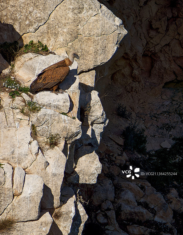 悬崖边的岩石高角度视图图片素材