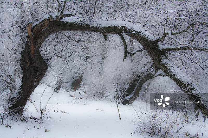 冬日之门：雪覆盖大地的俯视角度图片素材