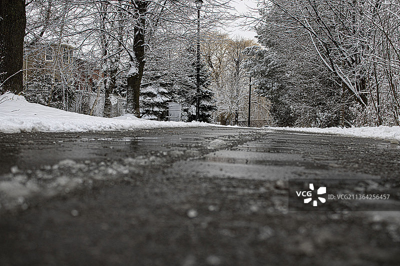加拿大安大略省阿贾克斯白雪覆盖的道路上的树木图片素材