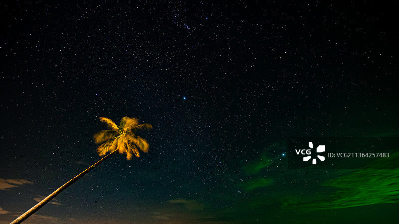 棕榈星，在泰国阁穆岛的夜空中，仰视照亮的星空图片素材