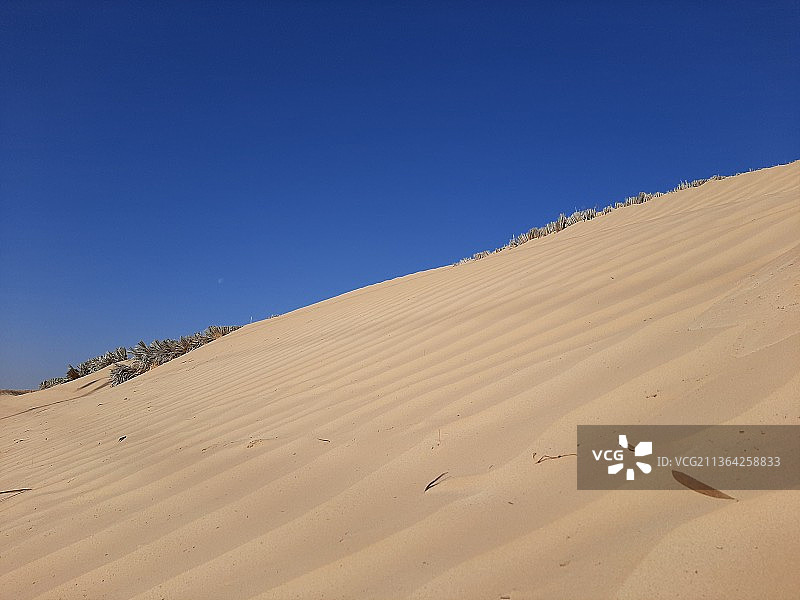 蓝天映衬下的沙漠风光图片素材