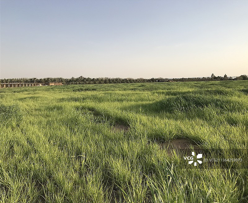 晴朗天空下的风景图片素材
