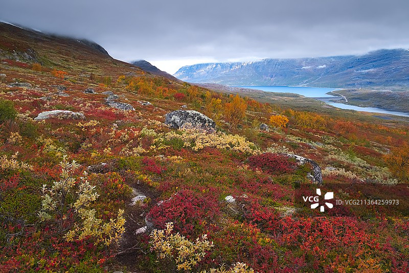 瑞典Jokkmokk萨雷克国家公园秋色地毯风光图片素材