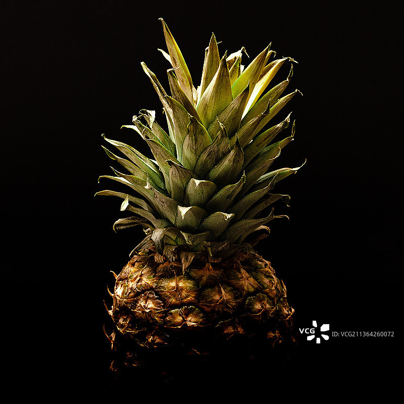 黑色背景上的菠萝特写（德国莱茵斯泰滕）图片素材