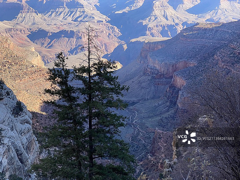 美国亚利桑那州大峡谷村的山上树木高角度南缘景观图片素材