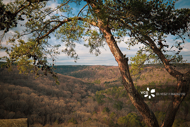 阿拉巴马州蒙哥马利景观树木画框图片素材