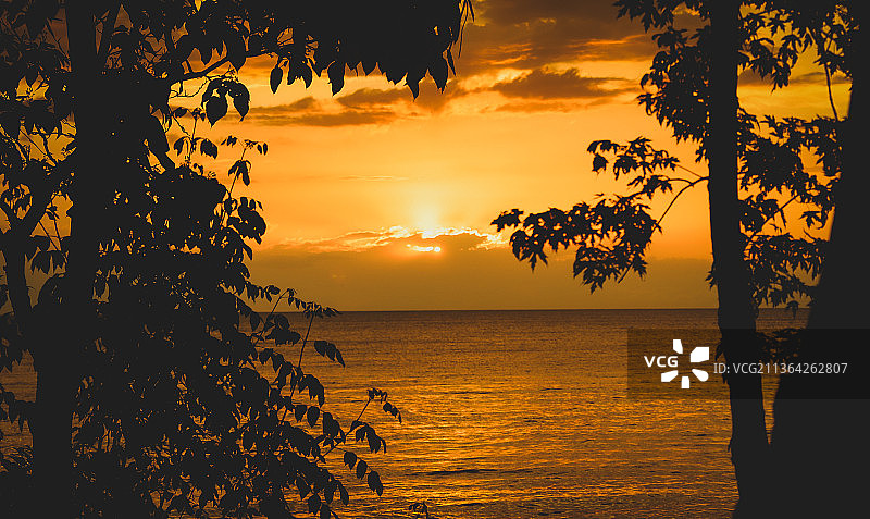 克利夫兰日落：美国莱克伍德公园海边树木剪影图片素材