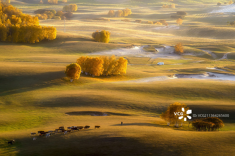 乌兰布统草原风光金秋之旅图片素材