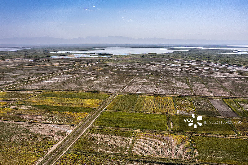 内蒙西黄河河套平原初秋风光图片素材