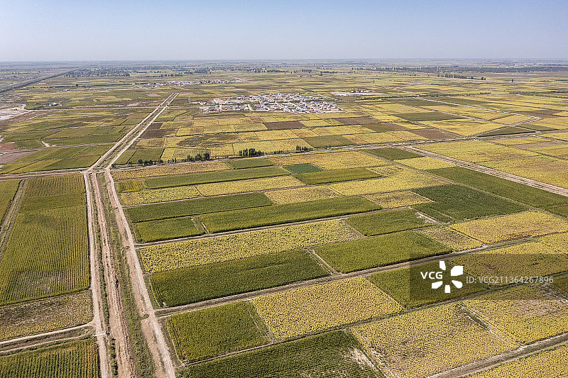 内蒙西黄河河套平原初秋风光图片素材