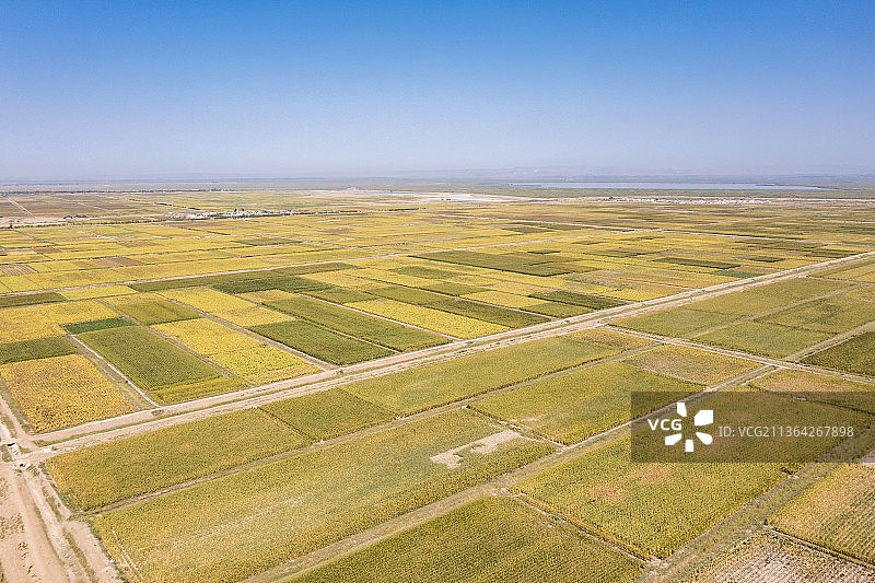 内蒙西黄河河套平原初秋风光图片素材
