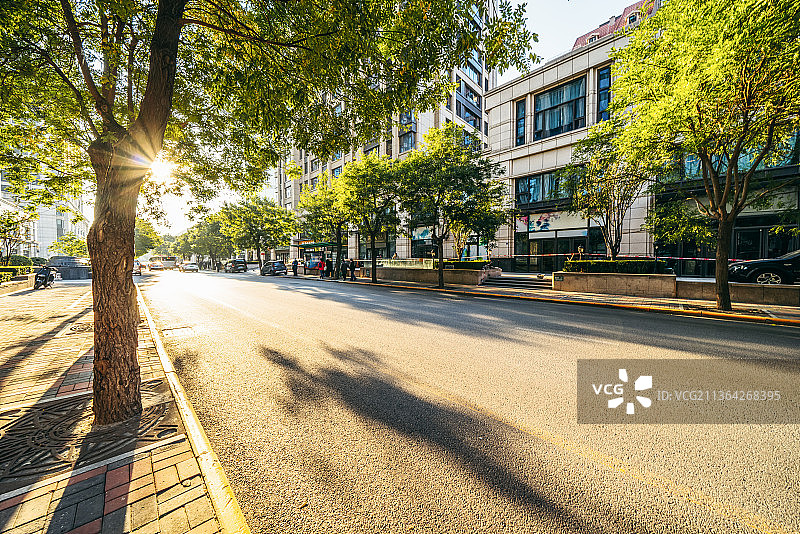 日落时天津绿树成荫的街道图片素材