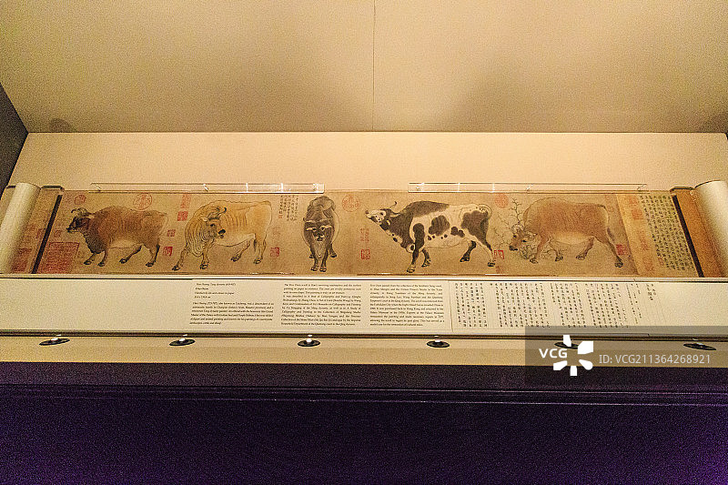 北京故宫石渠宝笈特展：五牛图卷（唐·韩滉）图片素材