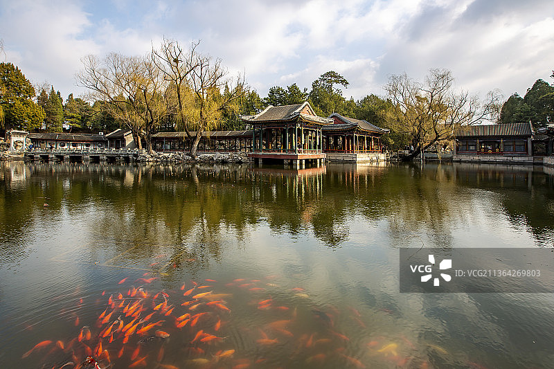 早春颐和园图片素材