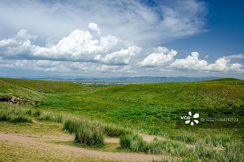 夏季晴朗天气蓝天白云的中国青海海北海晏县金银滩草原的草和山脉图片素材
