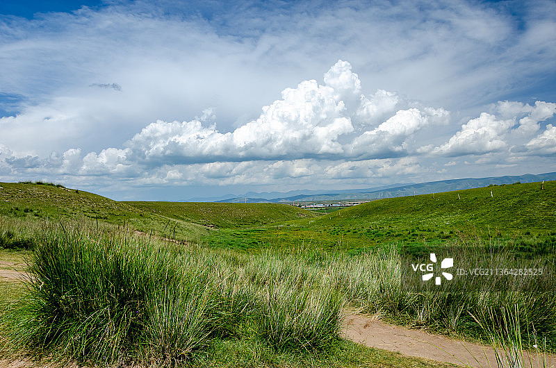 夏季晴朗天气蓝天白云的中国青海海北海晏县金银滩草原的草和山脉图片素材