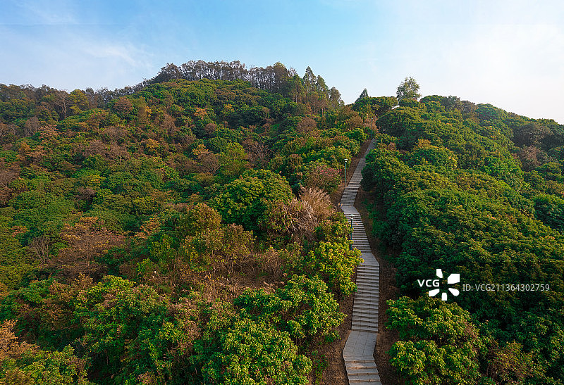深圳光明区罗田森林公园白天航拍图片素材