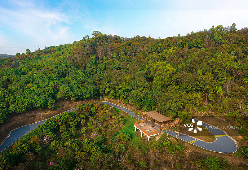 深圳光明区罗田森林公园白天航拍图片素材