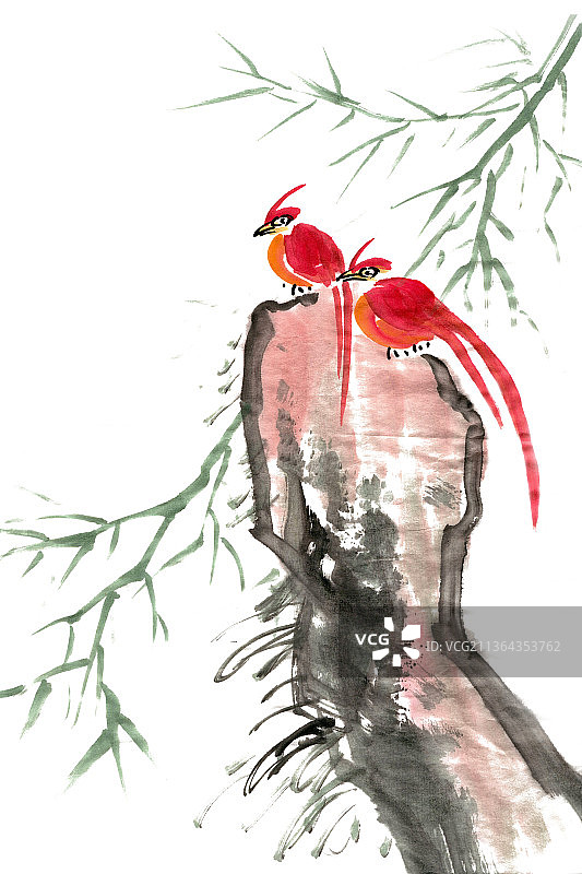 石头上的小鸟图片素材