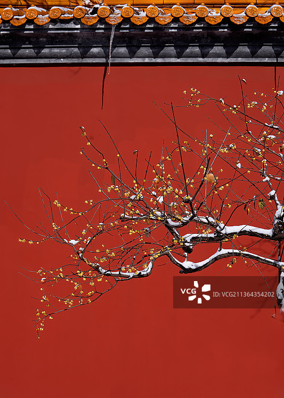 宫墙冰雪冬梅图片素材