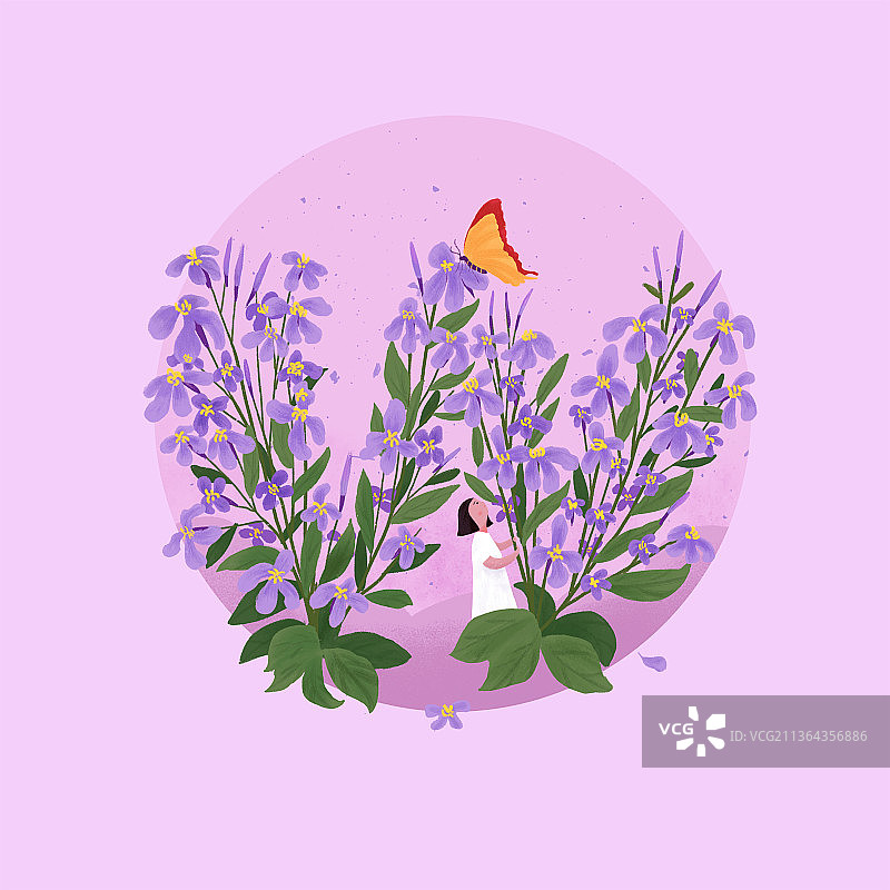 蝶恋花图片素材