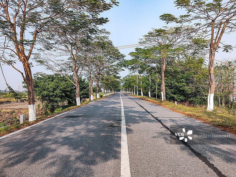 环岛路图片素材