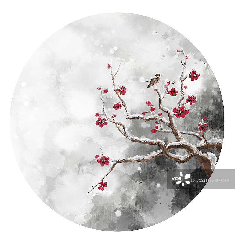 冬天梅花枝头上的小鸟图片素材