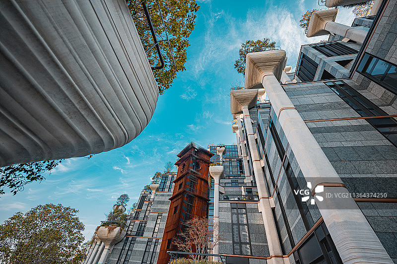 天安千树仰视图片素材