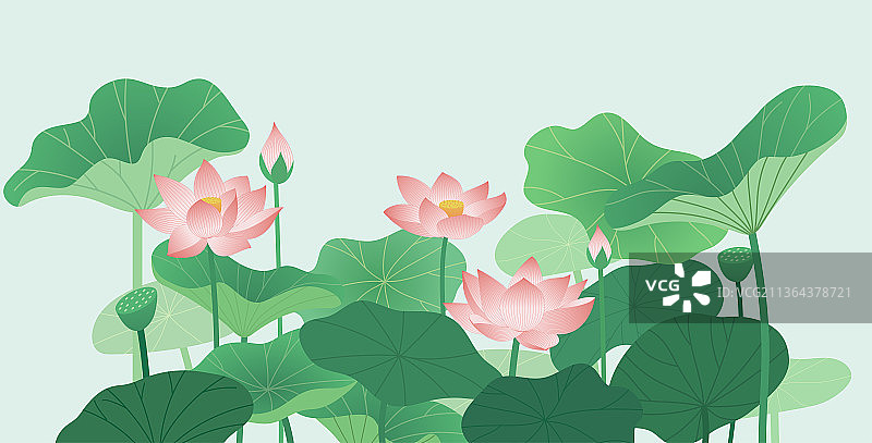 荷花横版图片素材