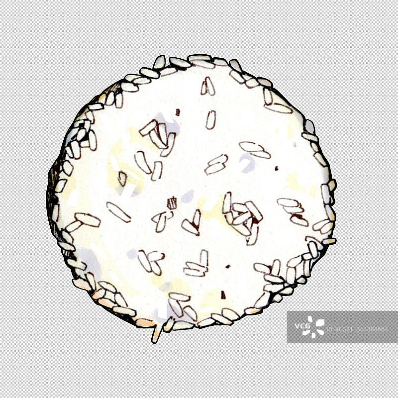 米饭 主食 盖浇饭 炒饭 美食食物餐饮菜单饮食图片素材