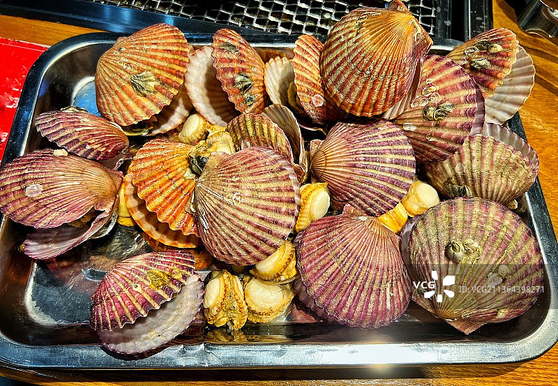 清蒸扇贝图片素材