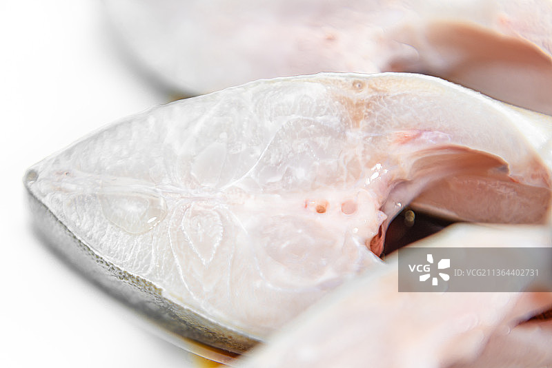 金鲳鱼 细节 白底图图片素材
