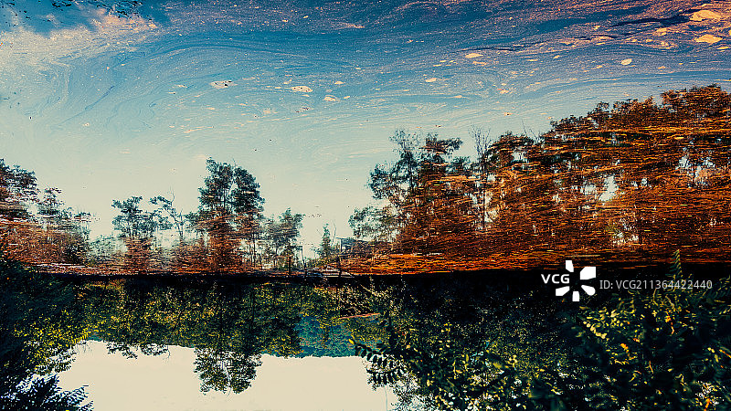 罗马尼亚德尔纳，秋季湖边的树木与天空图片素材
